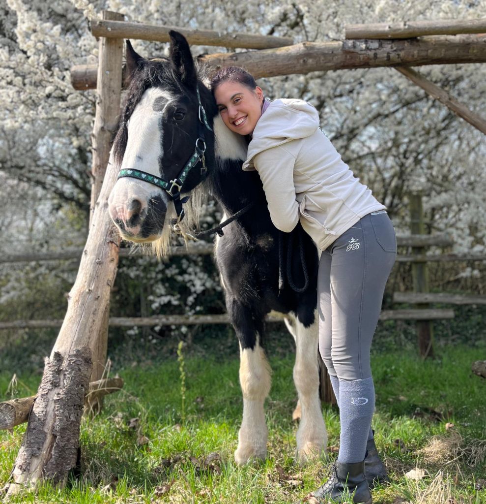 Vertrauen zum Pferd mit Marie Will